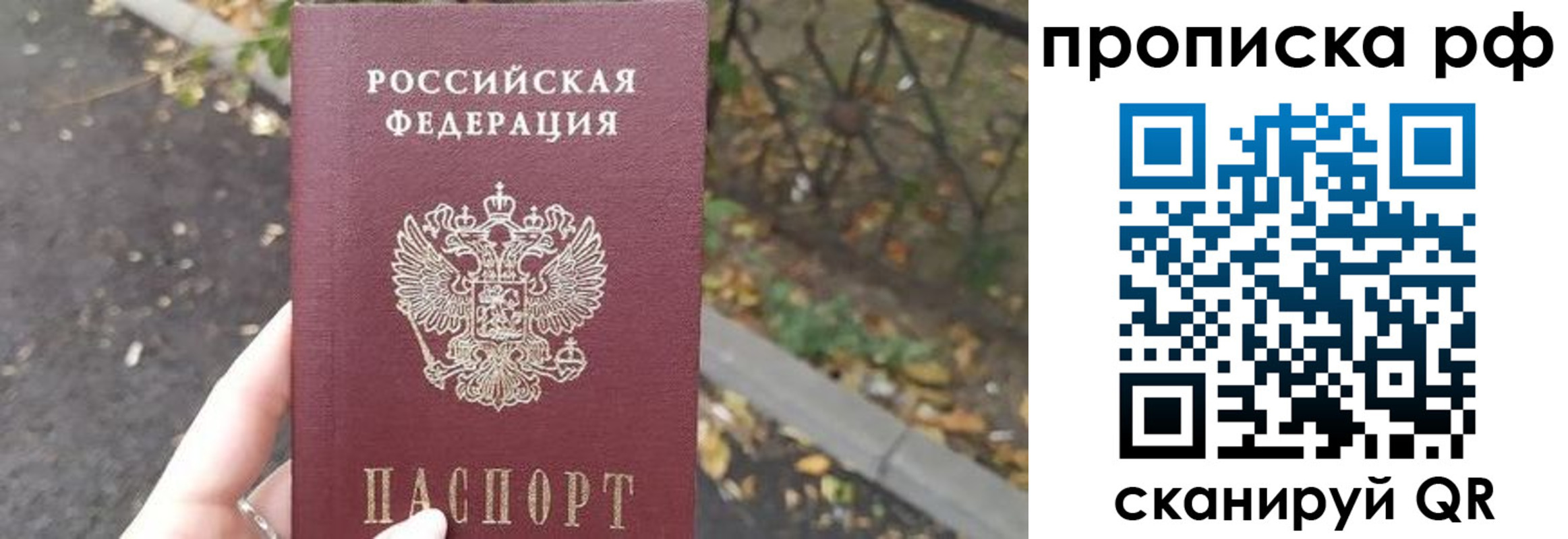 прописка штамп в Краснодаре