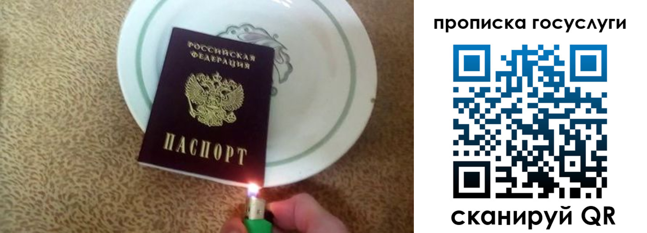 временная регистрация поиск в Краснодаре